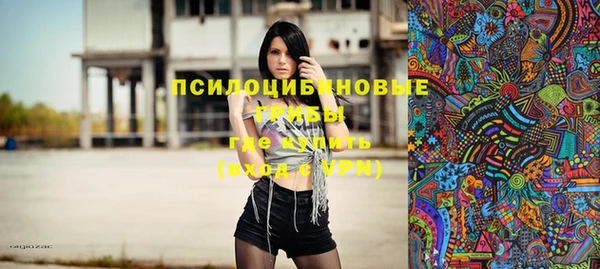 дживик Зерноград